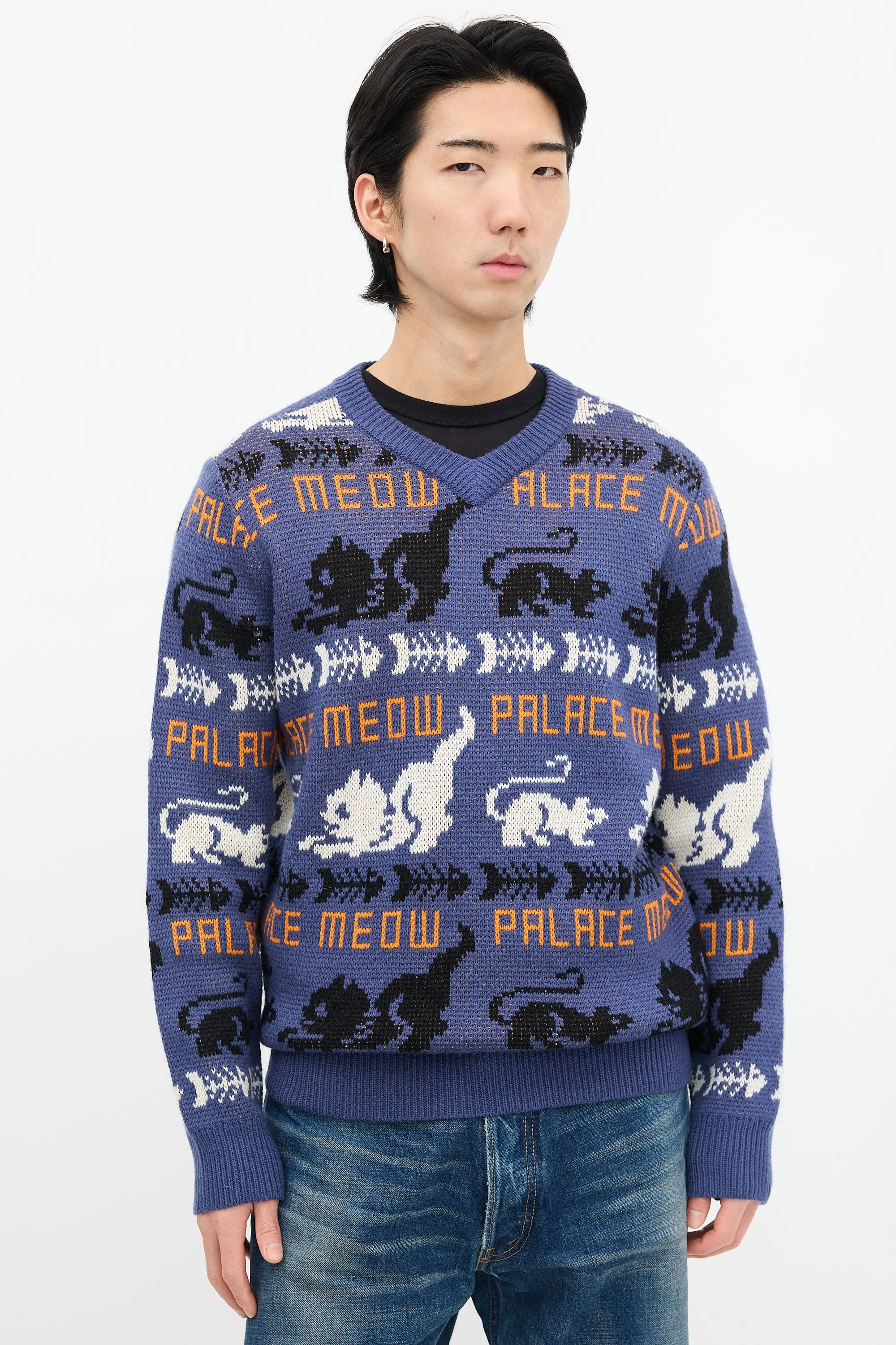 Blue & Multi Knit Meow Meow Sweater