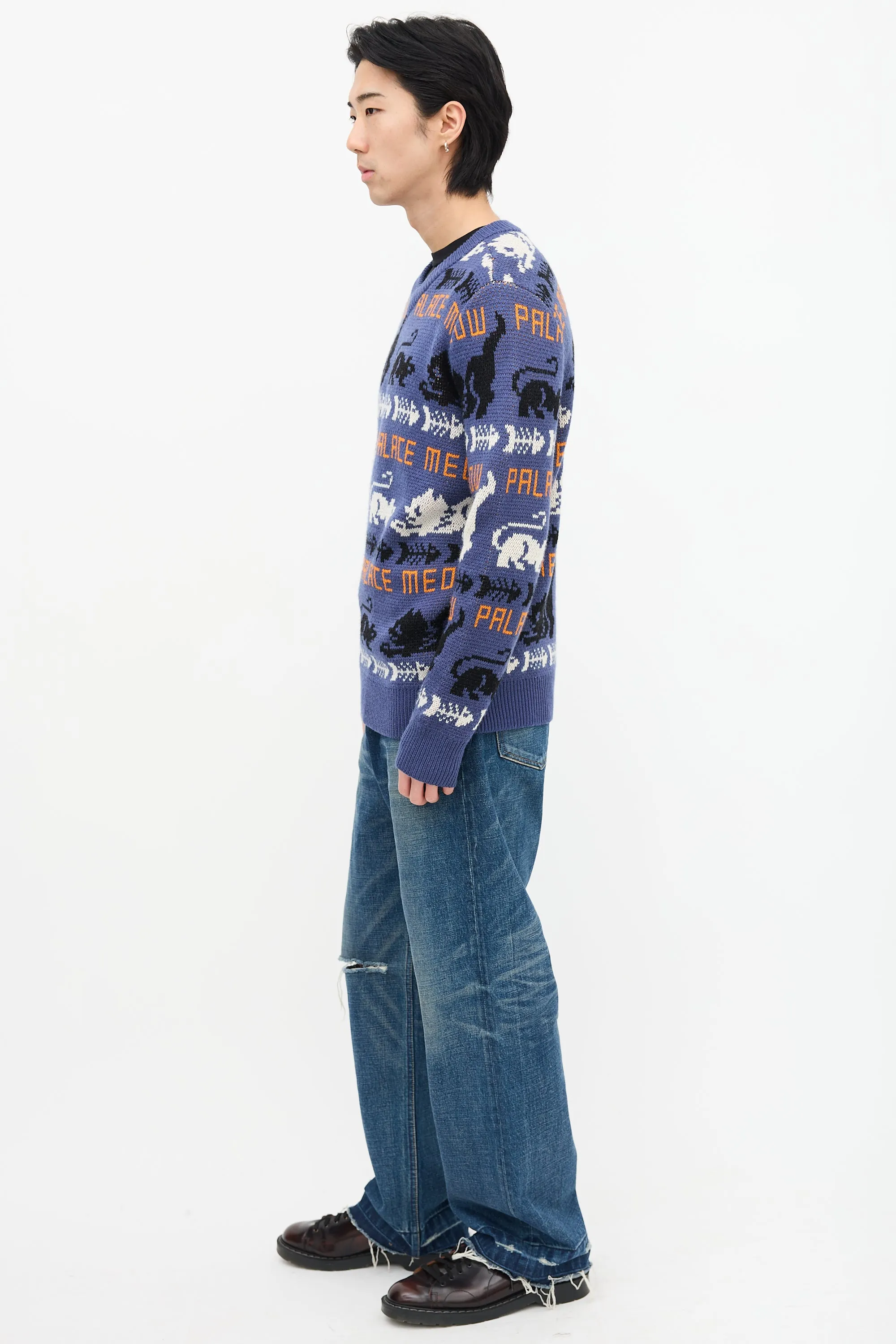 Blue & Multi Knit Meow Meow Sweater