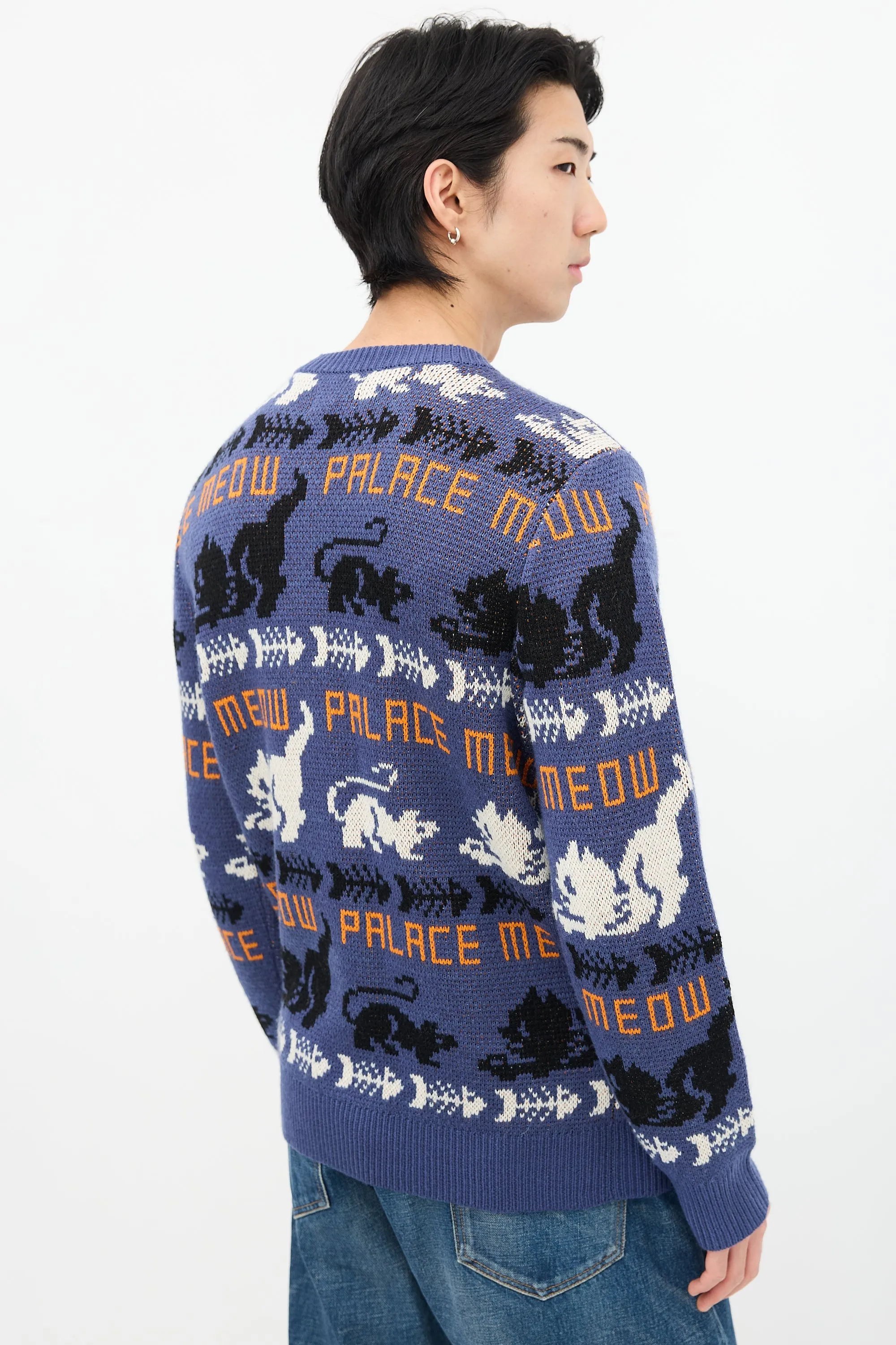 Blue & Multi Knit Meow Meow Sweater